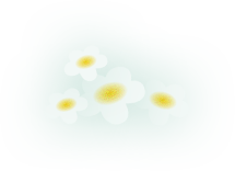 (圖)*
